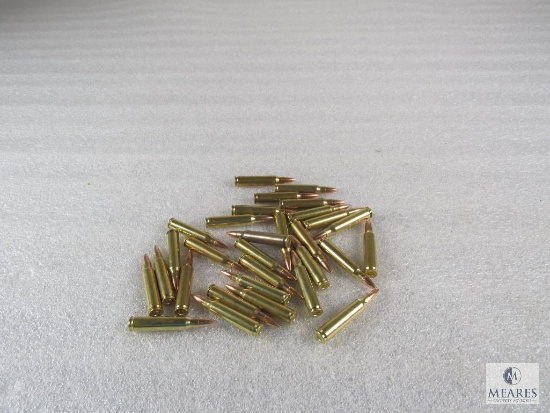 30 Rounds .223 55 grain FMJ