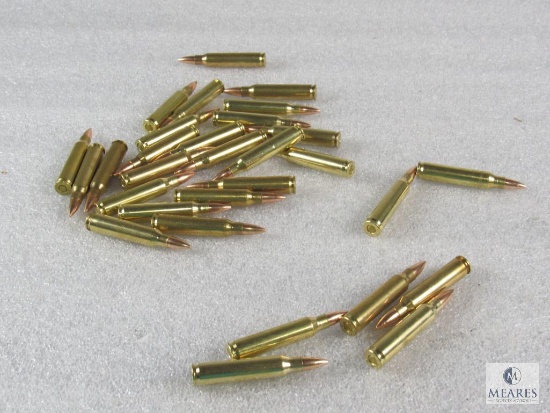 30 Rounds .223 55 grain FMJ