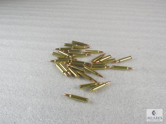 30 Rounds .223 55 grain FMJ