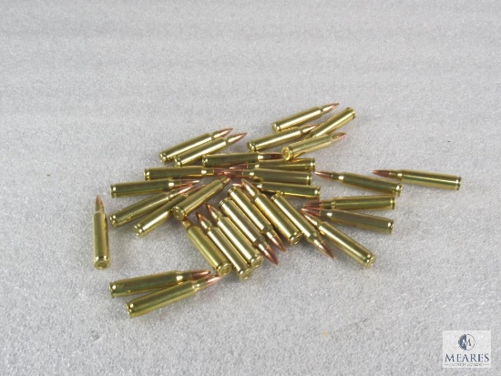 30 Rounds .223 55 grain FMJ