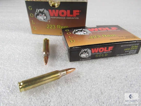 40 Rounds Wolf Gold .223 REM Copper Jacketed 55 Grain Ammo