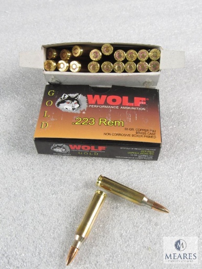 40 Rounds Wolf Gold .223 REM Copper Jacketed 55 Grain Ammo