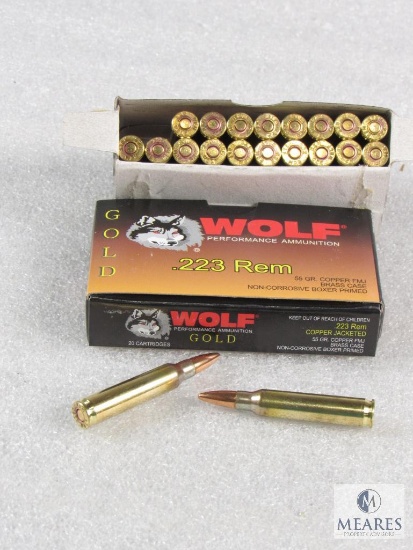 40 Rounds Wolf Gold .223 REM Copper Jacketed 55 Grain Ammo