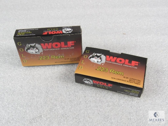 40 Rounds Wolf Gold .223 REM Copper Jacketed 55 Grain Ammo