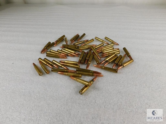 56 Rounds assorted .223 REM Ammo