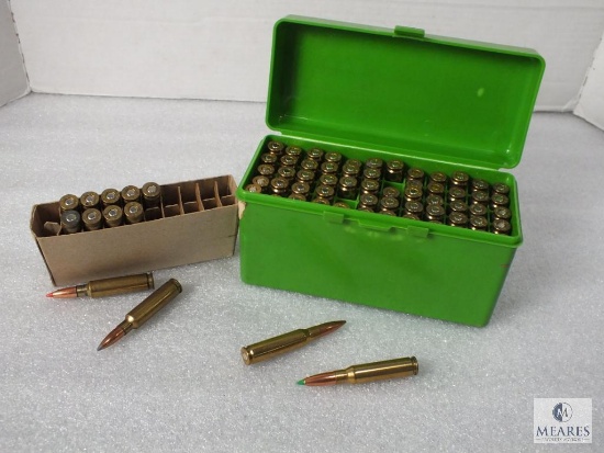 72 Rounds .308 Win assorted Ammo & Case Gard Case