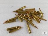 25 Rounds .220 Swift Ammo - possible reloads