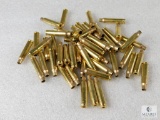 50 Count Once Fired Lake City 5.56 Brass - Cleaned, Sorted & Deprimed