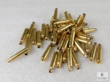 45 Count Once Fired Lake City 5.56 Brass - Cleaned, Sorted & Deprimed