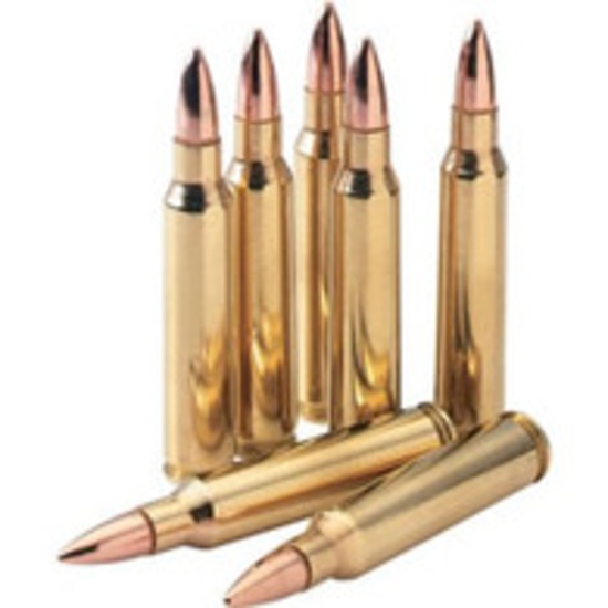 2021 Ammunition Auction #27 (with Firearms)