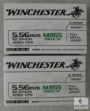 40 Rounds Winchester 5.56 Ammo. M855 62 Grain Green Tip 3060FPS