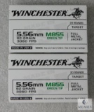 40 Rounds Winchester 5.56 Ammo. M855 62 Grain Green Tip 3060FPS