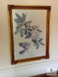Framed Print: Mockingbird No. 11 by Roger Tory Peterson