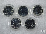 5 Different Platinum Layered State Quarters