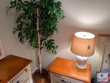 Five-foot Fichus Tree and Bedside Table Lamp
