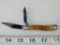 Case 2006 Peanut #6220 SS Amber Bone Handles 2 Blade
