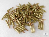 100 Rounds .223 REM Ammo