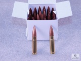 30 Rounds .300 BLK AAC 150 Grain FMJ Ammo (possible reloads)