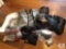 Lot of Assorted Harley Davidson and Bike Related Gear: Gloves, Socks, Hats