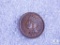 1901 Indian Head Cent