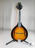 Rogue Eight-String Mandolin
