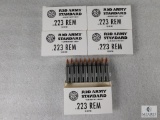 100 Rounds Red Army .223 REM Ammo 55 Grain FMJ