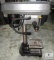 Central Machinery 5-Speed Bench Drill Press