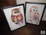 Two Framed Owl Prints