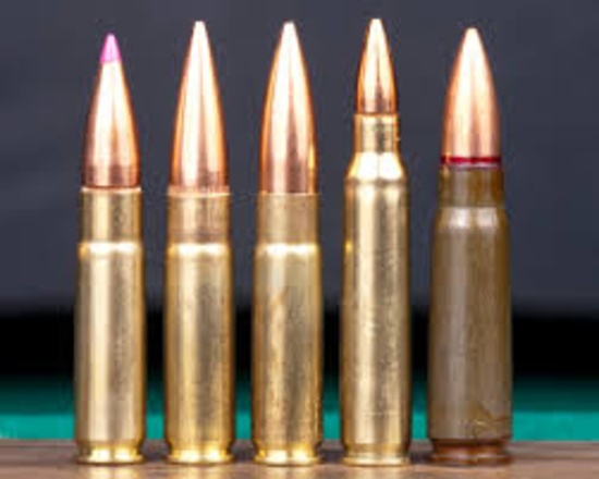 May 2022 Ammunition & Shooting Auction #3