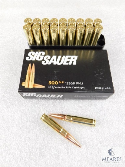 20 Rounds Sig Sauer 30 Black 125 Grain FMJ