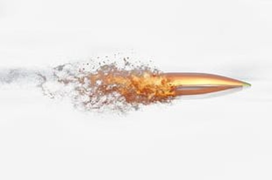 Thomas Estate Reloading and Ammunition Auction #3
