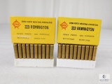 40 Rounds Norinco .223 REM Brass Case Ammo