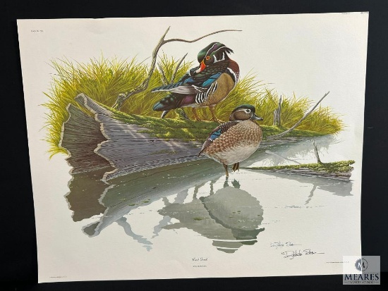 Registered Lithograph by Richard Sloan Wood Duck Plate #8