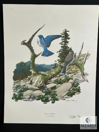 Registered Lithograph by Richard Sloan Mountain Bluebird Plate #10