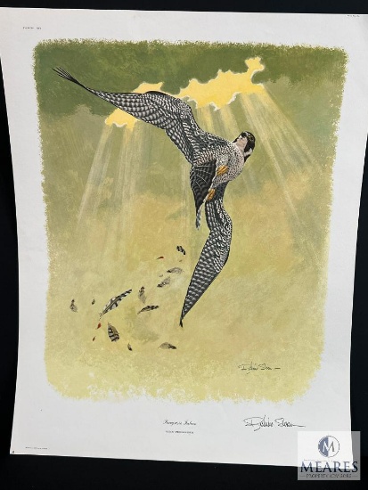 Registered Lithograph by Richard Sloan Peregrine Falcon Plate #14