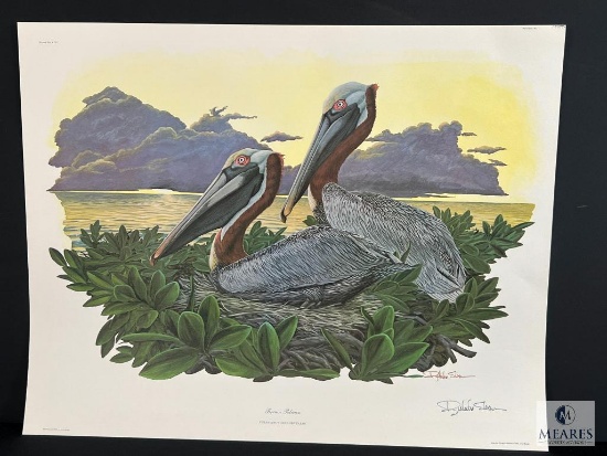Registered Lithograph by Richard Sloan Pelican Plate #17
