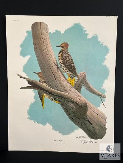 Registered Lithograph by Richard Sloan Yellow Shafted Flicker Plate #18