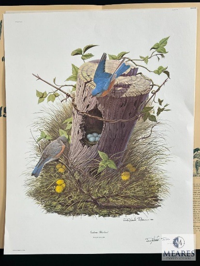 Registered Lithograph by Richard Sloan Eastern Bluebird Plate #2