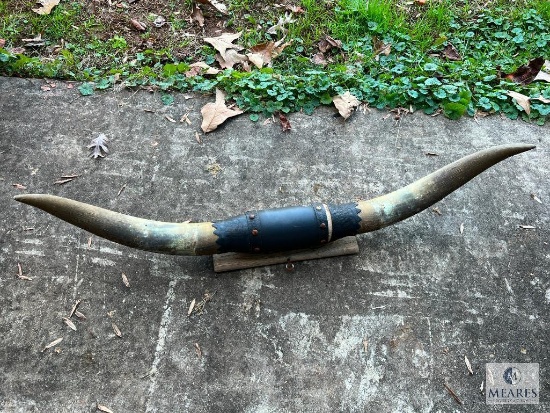 Set of Bull Horns