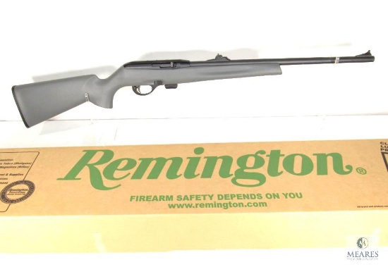 Remington Model 597, .22LR Semi-Auto Rifle