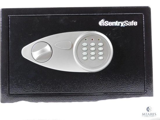 Sentry Small Gun Safe with Digital Lock