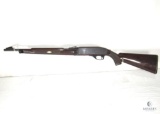 Remington Arms Nylon 66 .22LR Semi-Auto Rifle (4170)