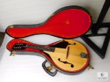 Mandolin By Hare3 A Style Eight String