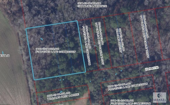 Herbert Street, Branchville, SC 29432