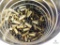 Can lot of .44 Special Brass. Approximately 130 Pieces