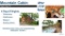 Four days, Three nights, 2BR/2BA, sleeps Four with Amazing Views in Pigeon Forge, TN