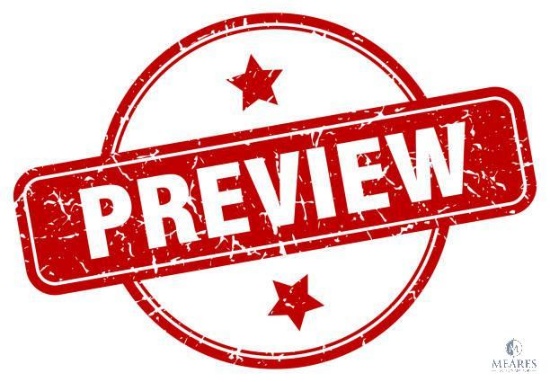 PREVIEW INFORMATION - Do Not Bid on This Lot!