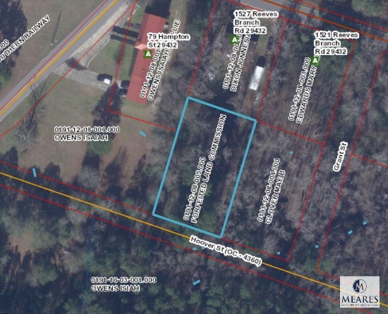 Hoover Street, Branchville, SC 29432
