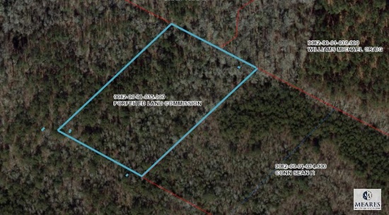 Off of Highway 133, Neeses, SC 29107