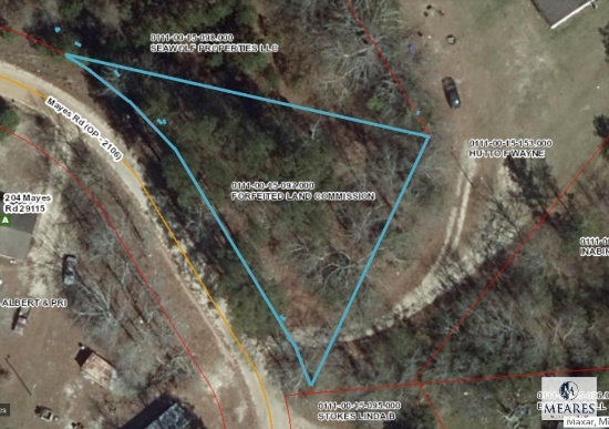 Mayes Road, Orangeburg, SC 29115